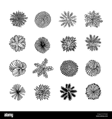 Plants Top View Vector