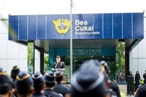 Usai Viral Akhirnya Bea Cukai Bebaskan Bea Masuk Alat Belajar SLB Yang