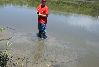 Sand Boil Near Cannon Diking District Levee Kansas City Di Flickr