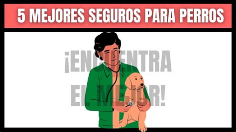 ⊛ Los 5 Mejores Seguros Para Perros Guía Y Comparativa 2021