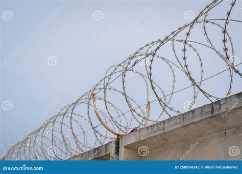 Barbed wire on the wall stock photo. Image of prisoner - 258064342