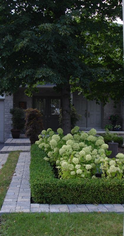 Modern Country Style The Top Ten Best Green Hydrangeas For A Modern