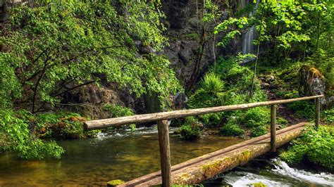 Log Bridge Over Mountain Falls Mountain Stream Bridge Trees Falls