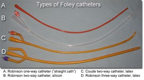 Foley Catheters Have 1 Way 2 Way Or 3 Way Variations The 1 Way