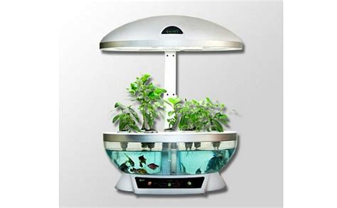 Six Electronic Flowerpots To Grow Flowers More Clean Hometone Home Automation And Smart Home