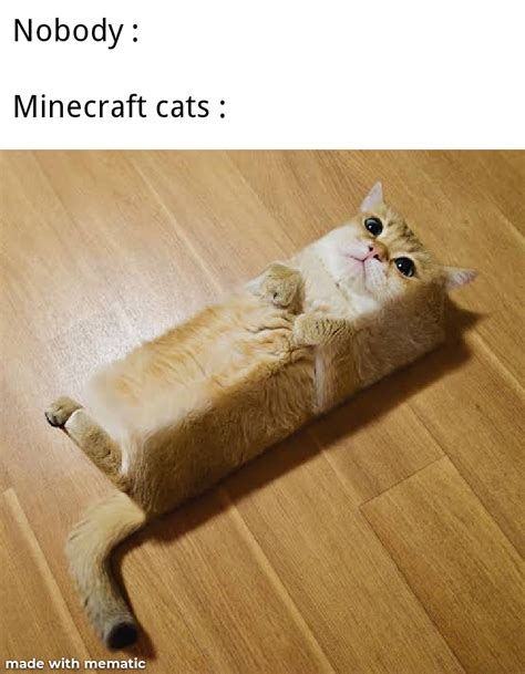 Minecraft cats be like : r/memes