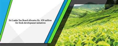 Opportunity Sri Lanka | » Sri Lanka Tea Board allocates Rs. 450 million ...