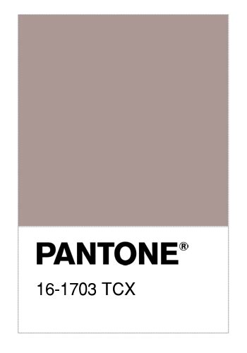 Colore PANTONE 16 1703 TCX Sphinx Numerosamente It