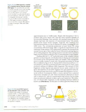 Essential Cell Biology Nd Ed Biotecnologia Studocu