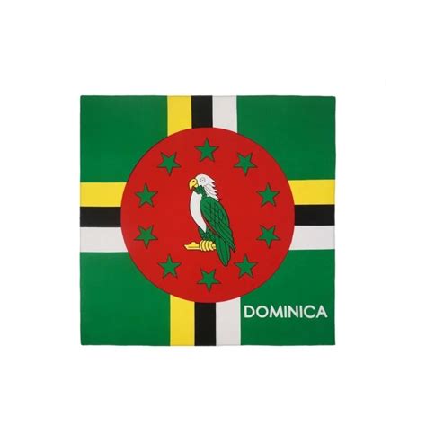 Caribbean Flag Bandanas Fete Expert
