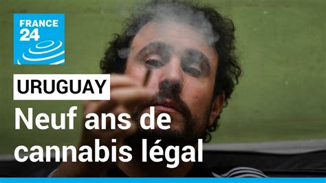 Neuf Ans Après La Légalisation Du Cannabis L’uruguay Peine à Satisfaire La Demande Youtube