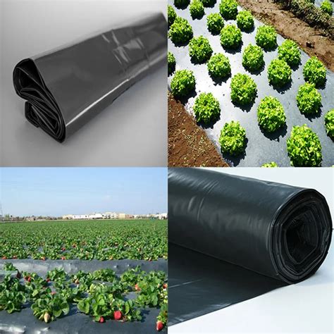 Pe Black Garden Plastic Roll For Agriculture Buy Black Garden Plastic