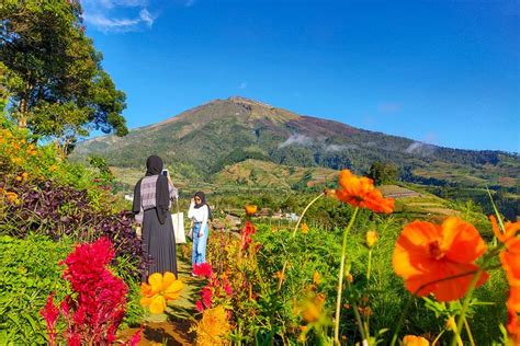 Wisata Magelang Mulai Dari Gunung Air Terjun Hingga Candi