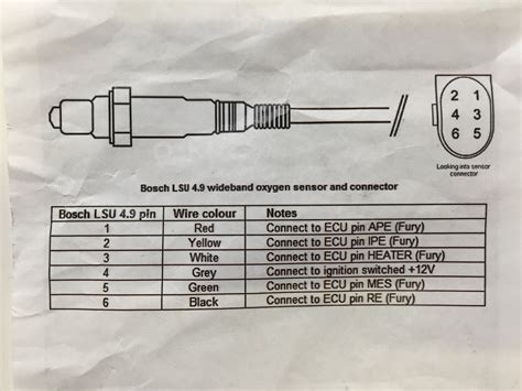 Wideband O2 Sensor Wiring Diagram | ubicaciondepersonas.cdmx.gob.mx