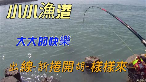 磯釣 港口 苗栗 黑鯛 沙格 烏魚 星點 臭肚 象魚 20240201 Youtube