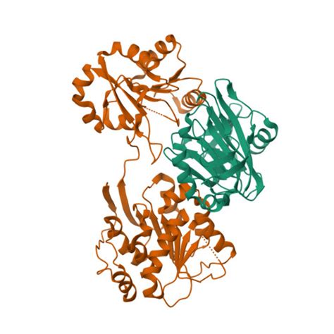 Rcsb Pdb Ppz Crystal Structure Of The Burkholderia Lethal Factor