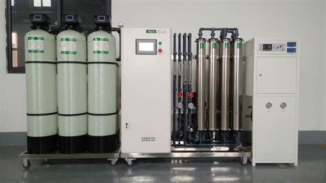 L Edi Purified Water System Double Ro System Edi Plant Water Treatment