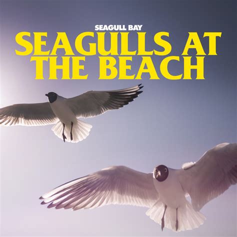 Seagulls At The Beach Album By Seagull Bay Spotify