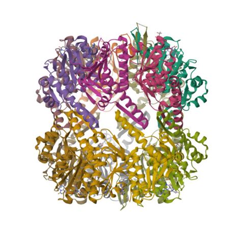 RCSB PDB 7XBZ Crystal Structure Of Staphylococcus Aureus ClpP In