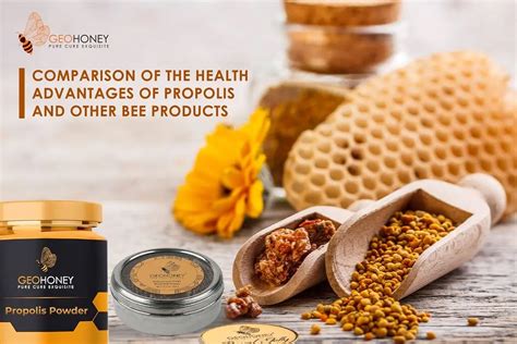 A Comparison Of The Health Benefits Of Propolis And Other Bee Products Geohoney