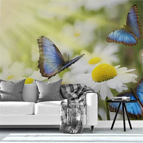 Fototapeta Natura Motyl Lato TOPAGO Pl