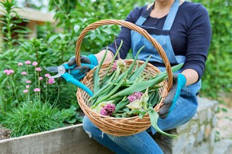 Primer Plano De Una Cesta Con Flores Secas Y Hojas De Tulipanes En