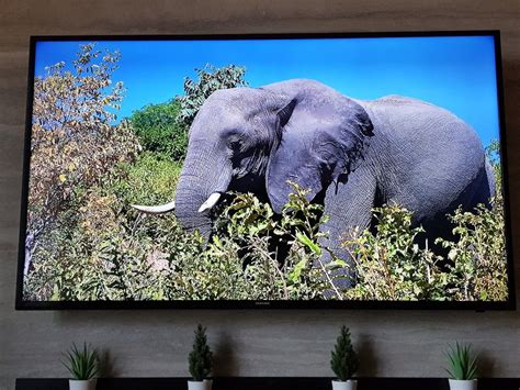 Samsung Tv 48 Inch Tv And Home Appliances Tv And Entertainment Tv On