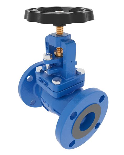 Globe Valve Sdnr