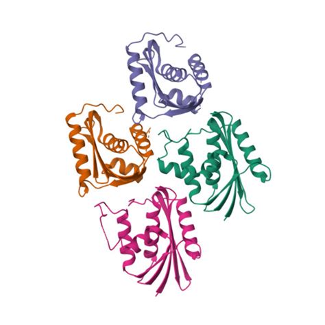 Rcsb Pdb Jl Crystal Structure Of Tceo Rnase H A Chimera Combining