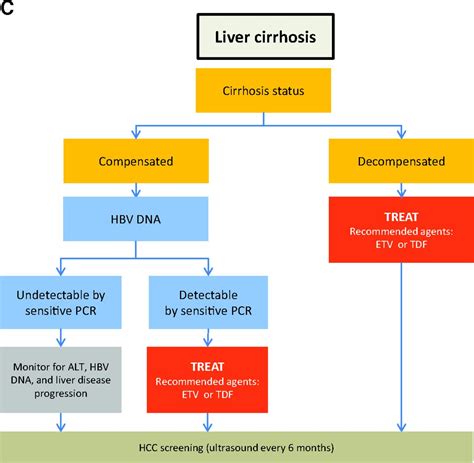 Management Of Chronic Hepatitis B An Overview Of Practice Guidelines