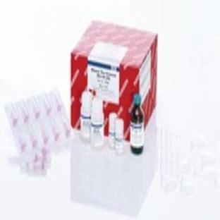 RNeasy Plus Universal Mini Kit (50), 73404 from Qiagen - Labsave