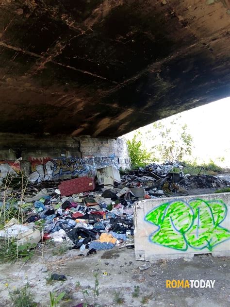 Discarica Sotto Il Viadotto Della Magliana Segnalazione A Roma