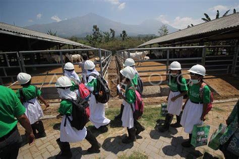 Wisata Edukasi Peternakan Antara Foto