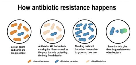 Antibiotic Resistance Or How Bacteria Become Resistant Institut Pasteur