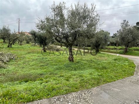 Terreno Urbano Venda Em Tomar Casais E Alviobeira Quinta Da