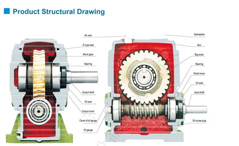 Iron Shell Wp Worm Gear Reducer Manufacturer