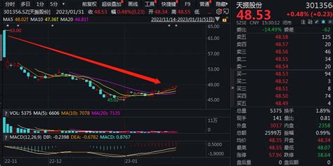 V观财报｜天振股份抛兜底式增持：股价上市即“破发”，员工平均薪酬56万股票新浪科技新浪网