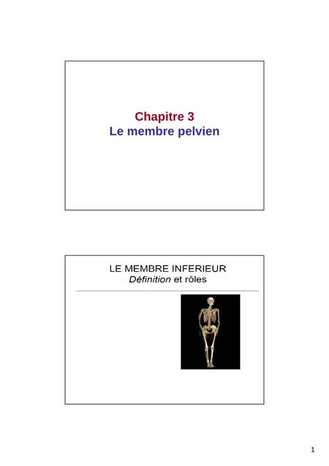 Pdf Chapitre 3 Le Membre Pelvien Etudiant Poly 3 Le Membre Pelvien · Arches