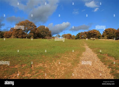 Newlands Corner Surrey Hills England Stock Photo Alamy