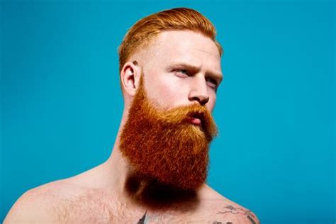 Thomas Knights Red Hot Ausstellung Ber Sexy Rothaarige Der Spiegel