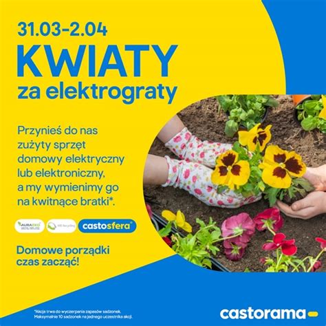 Kwiaty Za Elektrograty W Castoramie Gemini Park