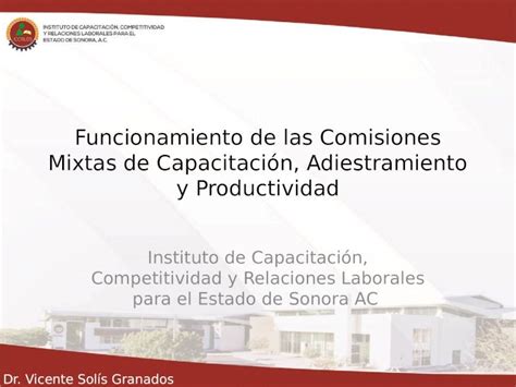 Pdf Funcionamiento De Las Comisiones Mixtas De Capacitación