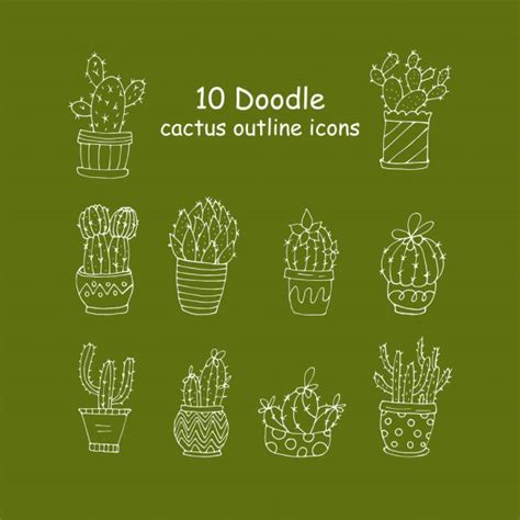 Cactus And Succulents In Pots Outline Vector Icons Big Set Plants