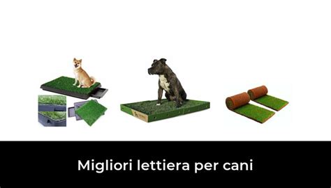 Migliori Lettiera Per Cani Nel Recensioni Opinioni Prezzi