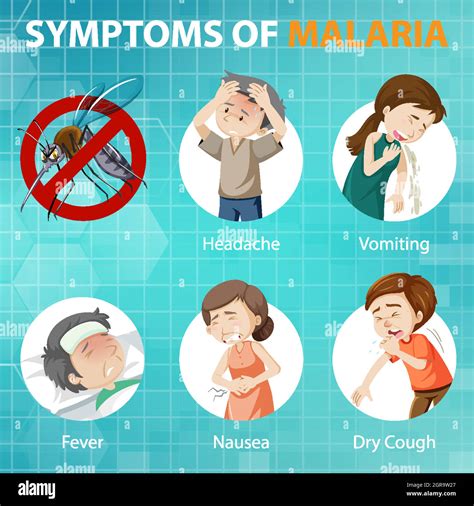 Malaria symptoms cartoon style infographic Stock Vector Image & Art - Alamy