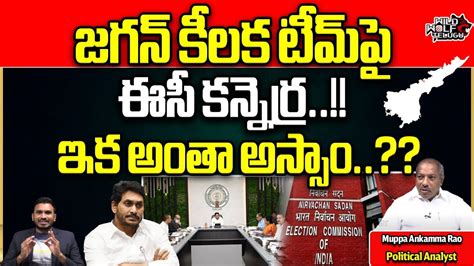 Ec Serious On Ap Ias Ips Officers Cm Jagan Ysrcp Ap Election