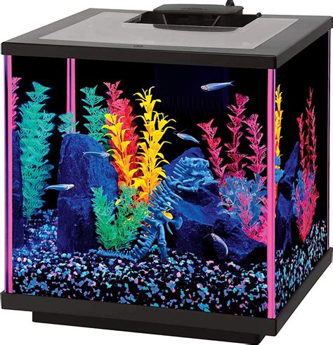 Aqueon Led Neoglow Aquarium Starter Kit Pink Gal Chewy