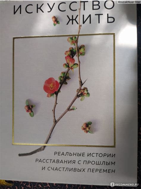 Искусство жить. Стивен Гросс - «Из практики психоаналитика» | отзывы