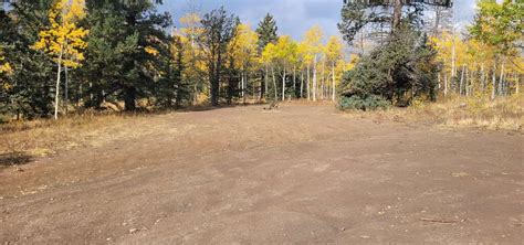 Trout Creek Dispersed Camping Hartsel Roadtrippers