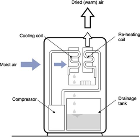 How Does A Dehumidifier Work Hunker